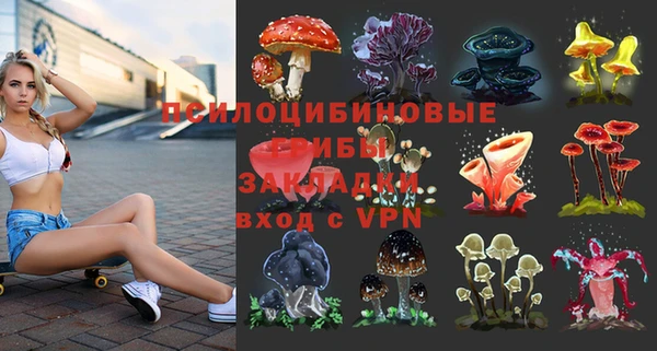 мяу мяу кристалл Алексин