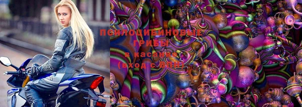 прущий лед Алексеевка