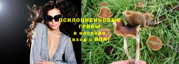 прущий лед Алексеевка