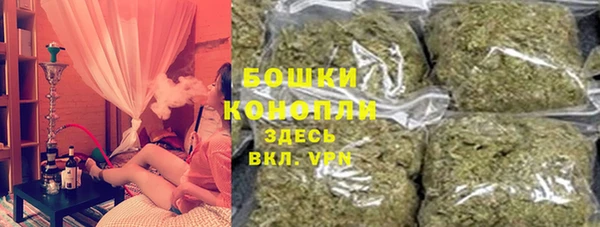 крисы Сатка