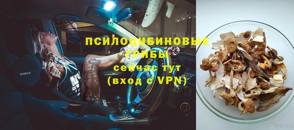 мяу мяу кристалл Алексин