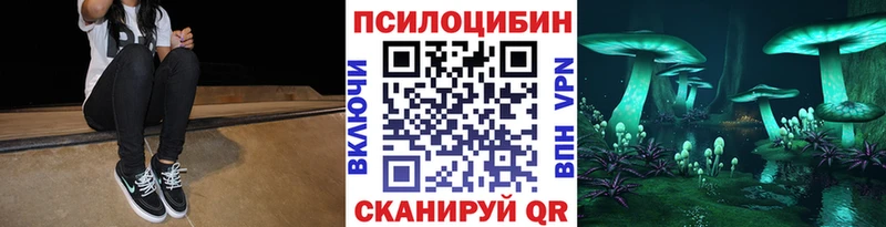 блэк спрут вход  Котельники  Псилоцибиновые грибы прущие грибы 